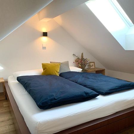 Loft Ueber Dem Bodensee Гайлігенберг Екстер'єр фото